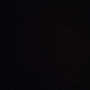 Meet your Posher, Lee